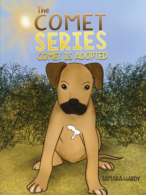 cover image of The Comet Series: Comet Is adopted